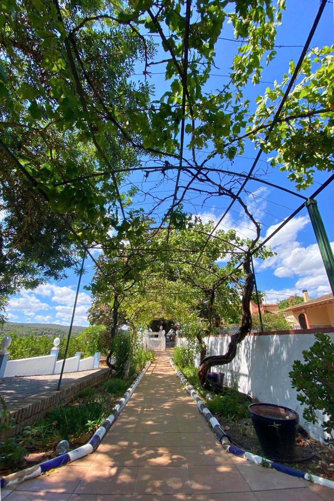 Casa Magnolia, A Rural Paradise House With Pool Alzira Esterno foto