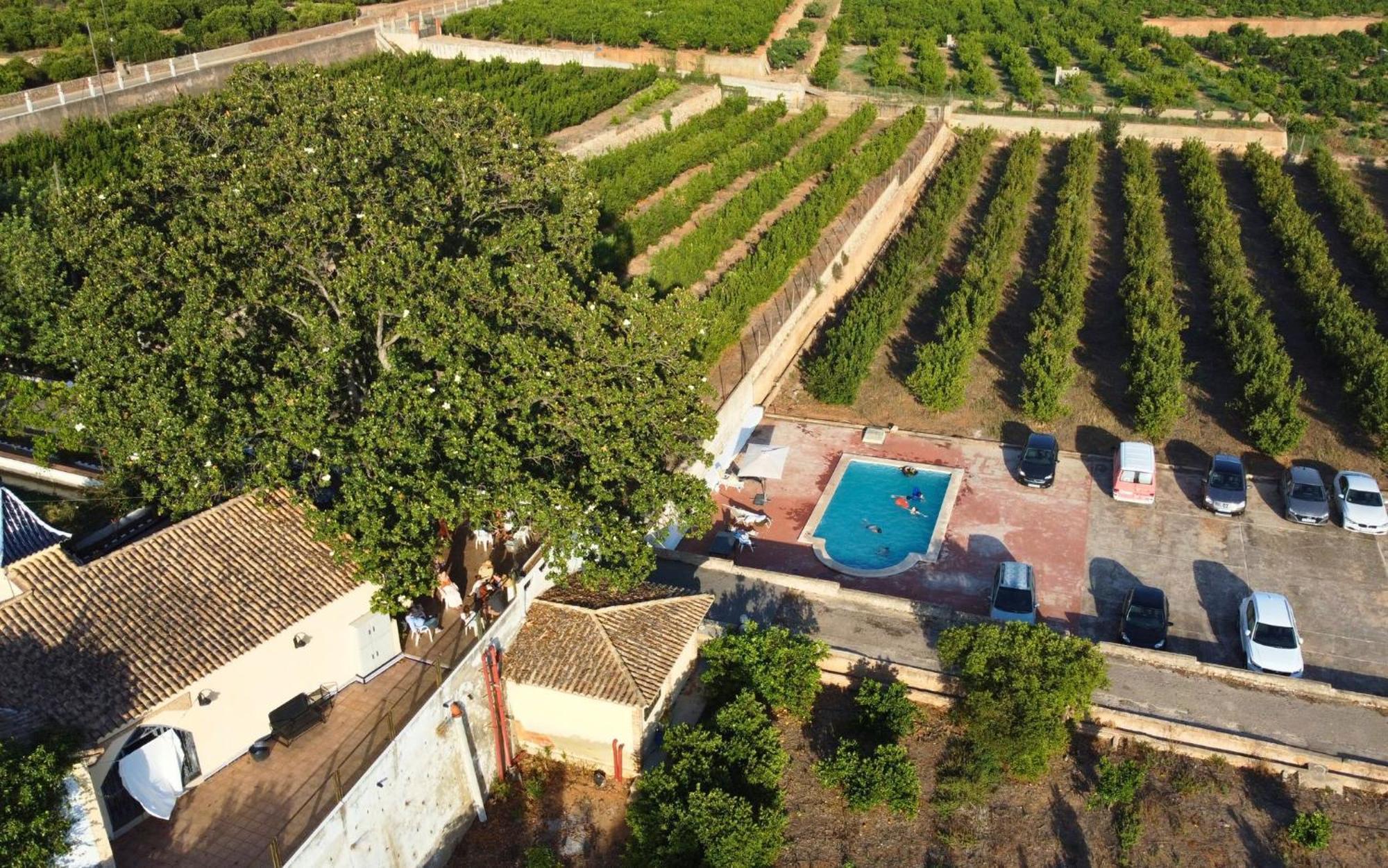 Casa Magnolia, A Rural Paradise House With Pool Alzira Esterno foto