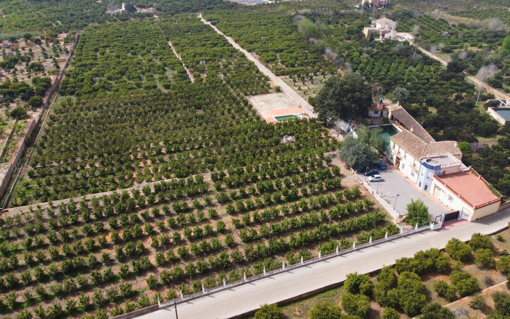 Casa Magnolia, A Rural Paradise House With Pool Alzira Esterno foto